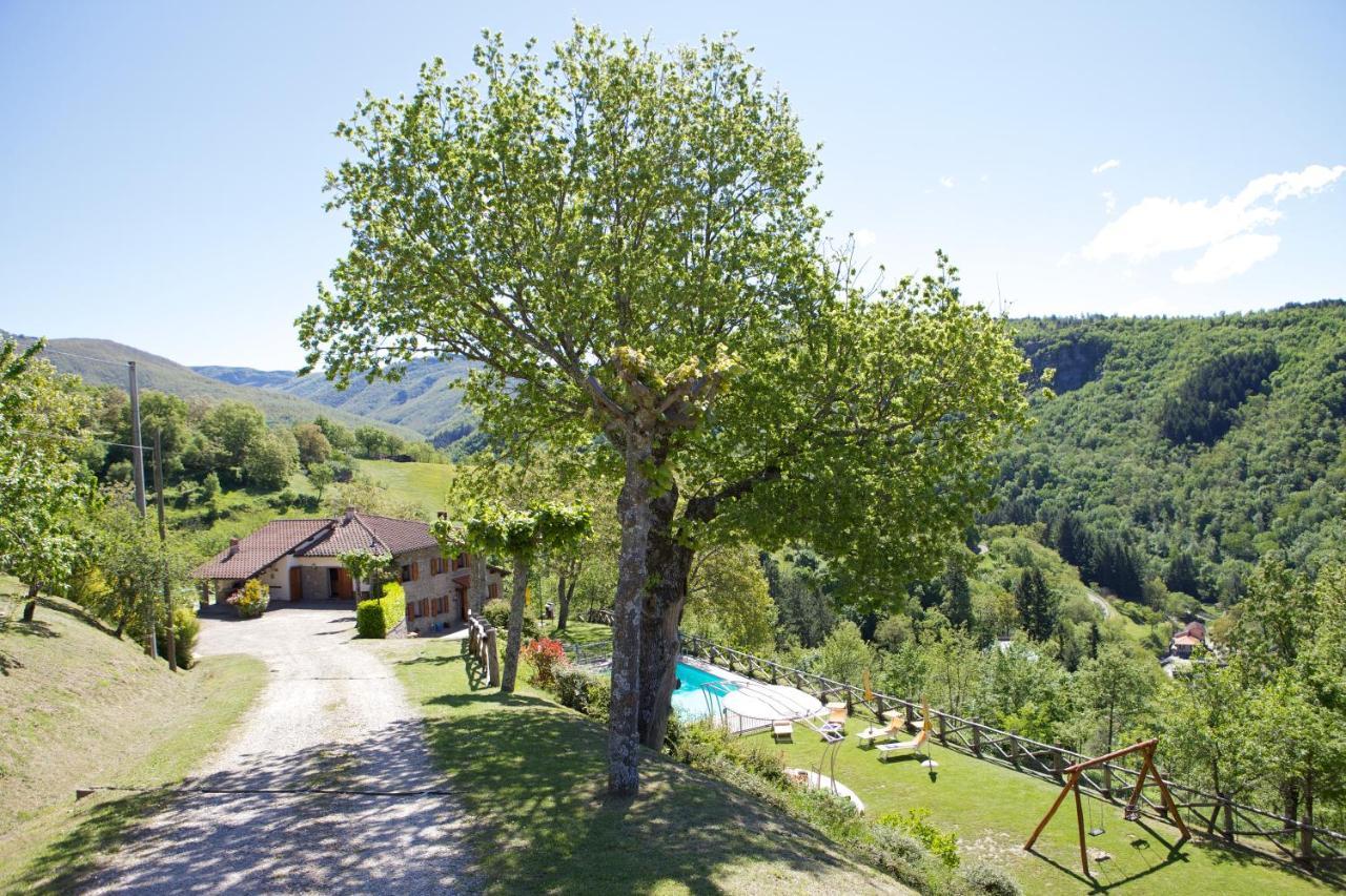 La Scatolaia Villa Stia Dış mekan fotoğraf